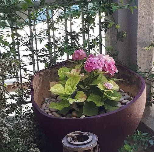 Bed & Breakfast Kate-mari 3*